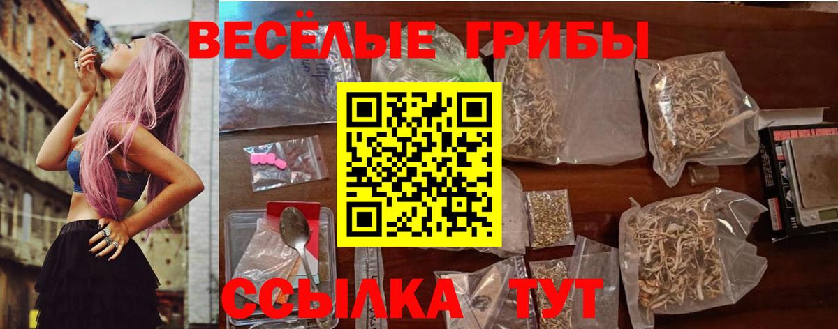 Кандалакша  Галлюциногенные грибы прущие грибы  Вход с VPN 